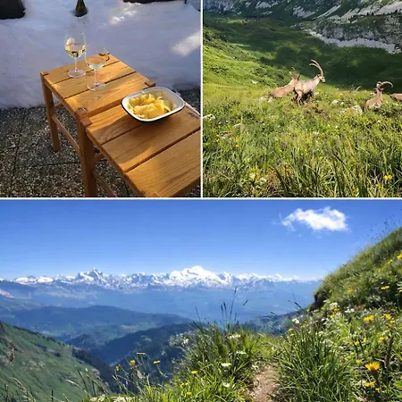 Updated Cosy Apartment, Terrace, 10 Mins To